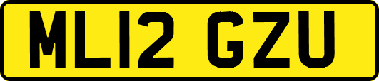 ML12GZU