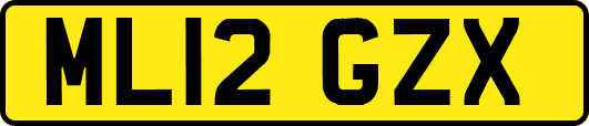ML12GZX