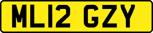 ML12GZY
