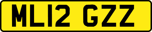 ML12GZZ