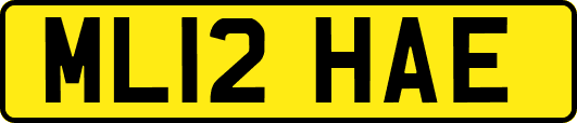 ML12HAE