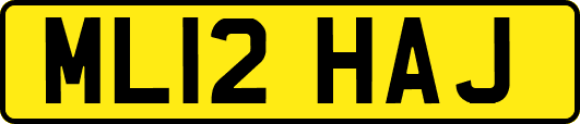 ML12HAJ
