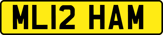 ML12HAM