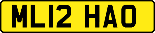 ML12HAO