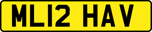 ML12HAV