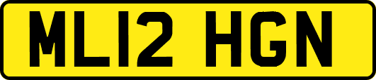 ML12HGN