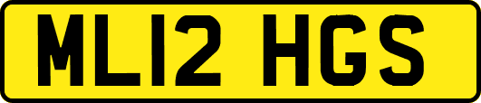 ML12HGS