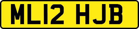 ML12HJB