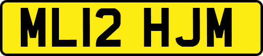 ML12HJM