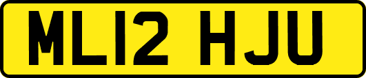 ML12HJU