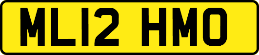 ML12HMO