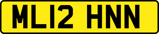 ML12HNN