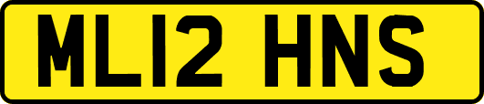 ML12HNS