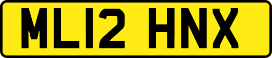 ML12HNX