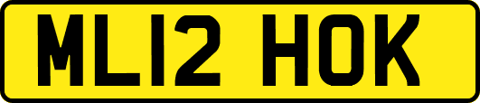 ML12HOK