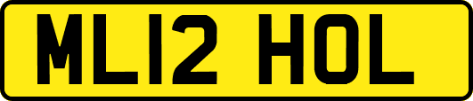 ML12HOL