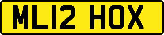 ML12HOX