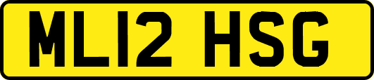 ML12HSG