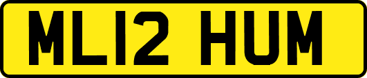ML12HUM
