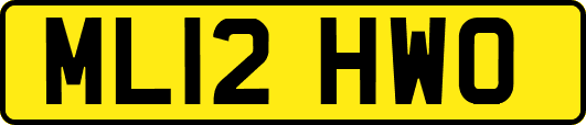 ML12HWO