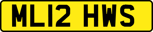 ML12HWS