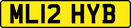 ML12HYB