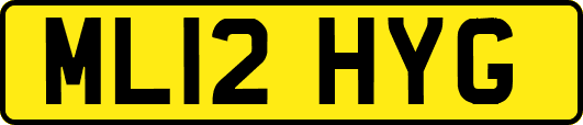 ML12HYG