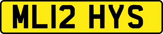 ML12HYS