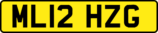 ML12HZG