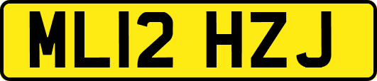 ML12HZJ