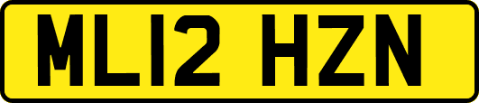 ML12HZN