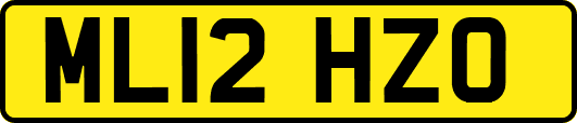 ML12HZO