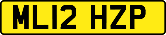 ML12HZP