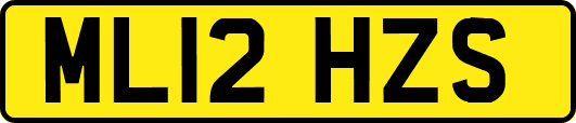 ML12HZS