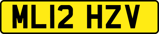 ML12HZV
