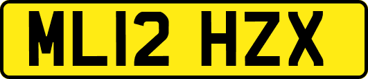 ML12HZX