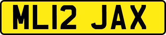 ML12JAX