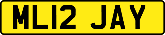 ML12JAY
