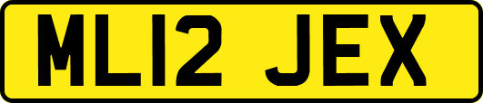 ML12JEX