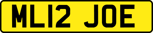 ML12JOE