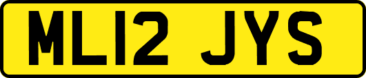 ML12JYS