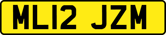ML12JZM
