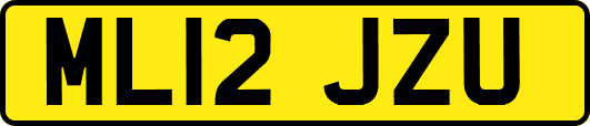 ML12JZU
