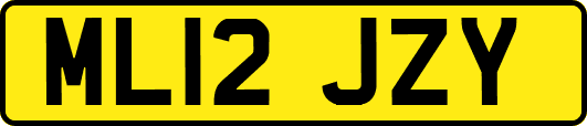 ML12JZY