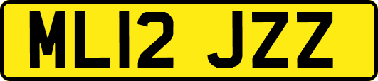 ML12JZZ