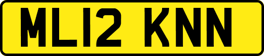 ML12KNN
