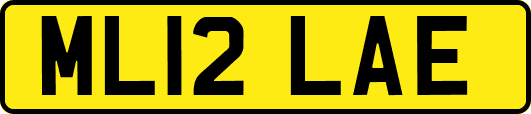 ML12LAE