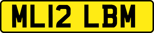 ML12LBM