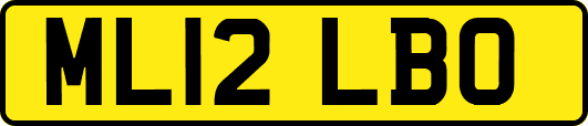 ML12LBO