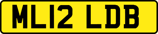 ML12LDB